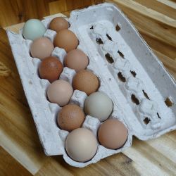 Picture of Fresh Eggs (12)