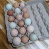 Picture of Fresh Eggs (18)