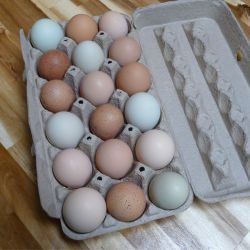 Picture of Fresh Eggs (18)