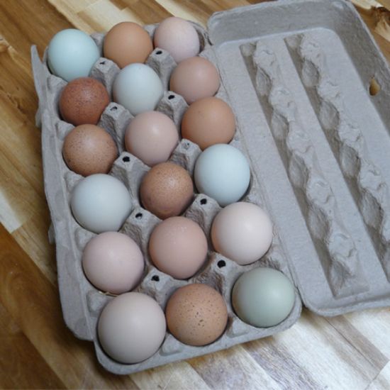 Picture of Fresh Eggs (18)