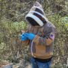 Picture of Beekeeping Virtually
